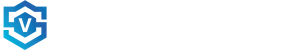 V.SECURE TEXT LOGO